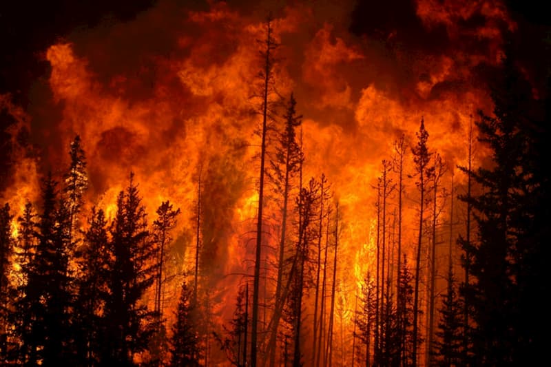 Protezione civile Campania: incendi boschivi aumentati e non si tratta di autocombustione