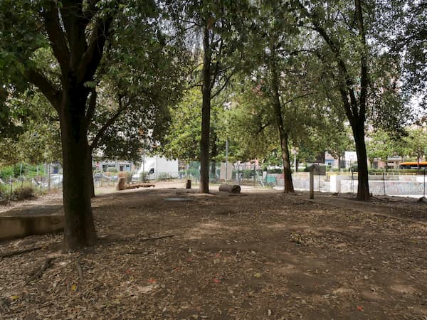 Degrado in piazza Medaglie d’Oro, l’appello al sindaco: “Più manutenzione e controllo per un verde vivibile”