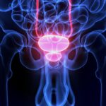 Prostata, 450 mila nuovi casi di tumore all’anno.  Una settimana “social” degli urologi italiani per informare gli uomini