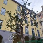 Napoli, alla scuola Confalonieri la “festa dell’albero” con i carabinieri forestali