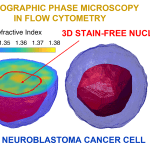 Cellule tumorali in 3D, nasce una tecnica innovativa
