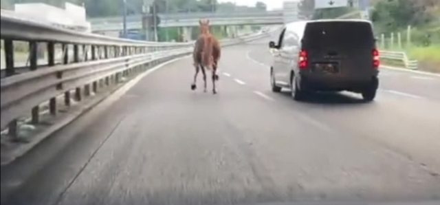 Screenshot_20230419_230457_Samsung Internet