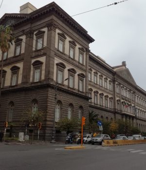 IMG-20231111-WA0015