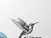 Lucio Caliendo : ” Phibird, il mio libro per un esperienza eido-acustica” Lucio Caliendo