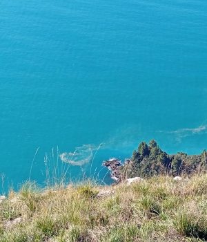 Messenger_creation_E2CBA8D1-B57C-4121-9D1E-57753567442B Mare sporco sospetto a Tordigliano