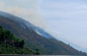 Grosso incendio a Nerano di Massa Lubrense Incendio