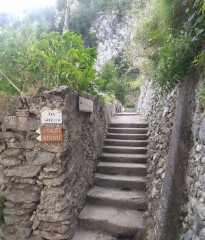 54499340Master Un sentiero a Pontone di Scala