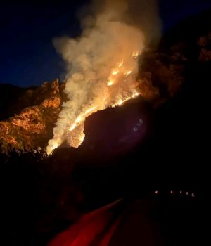 IMG-20260906-WA0002 Incendio doloso a Tordigliano