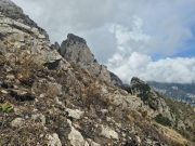 Viaggio a Chiosse e Capo Masina dopo l’incendio Il sentiero dopo l'incendio