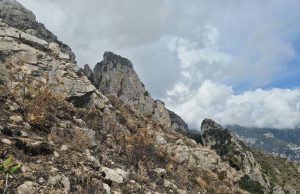 Viaggio a Chiosse e Capo Masina dopo l’incendio Il sentiero dopo l'incendio