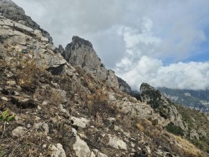 Il sentiero dopo l'incendio