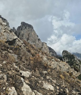 Viaggio a Chiosse e Capo Masina dopo l’incendio Il sentiero dopo l'incendio