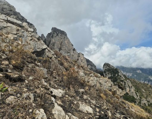 Viaggio a Chiosse e Capo Masina dopo l’incendio Il sentiero dopo l'incendio